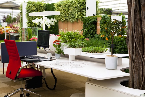 توصیه هایی برای داشتن یک محیط کار شاداب و سالم Office plants - توصیه هایی برای داشتن یک محیط کار شاداب و سالم