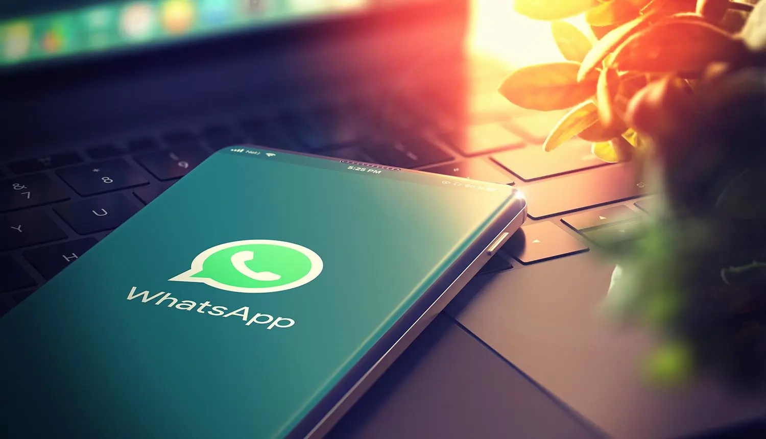 whatsapp-1 رمزگذاری سرتاسری فایلهای پشتیبان واتساپ بهزودی ممکن میشود