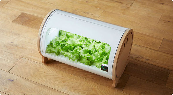 design 3.0 w600 - محققان ژاپنی دستگاهی موسوم به Foop را برای پرورش گیاه در خانه تولید کرده اند