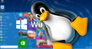 win 10 linux 300x160 - بلاگ