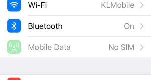 sk screen 1 en 300x160 - بلاگ