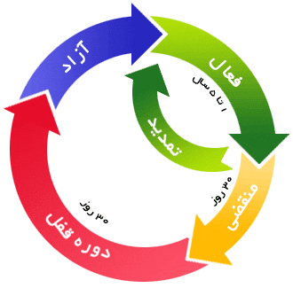 چرخه حیات دامنه domaindotirlifecycle - چرخه حیات دامنه